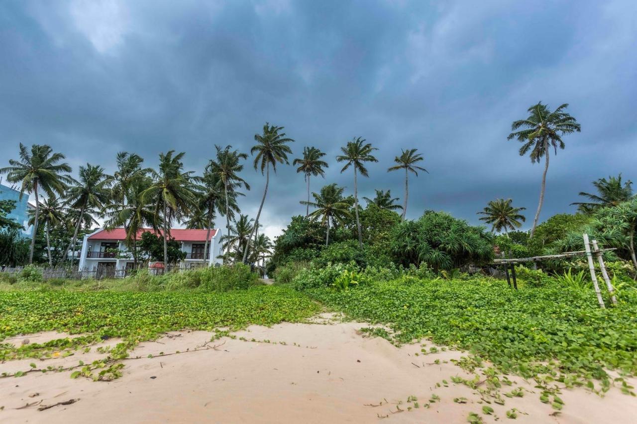 360 Surf Weligama Bay Hotel Bagian luar foto