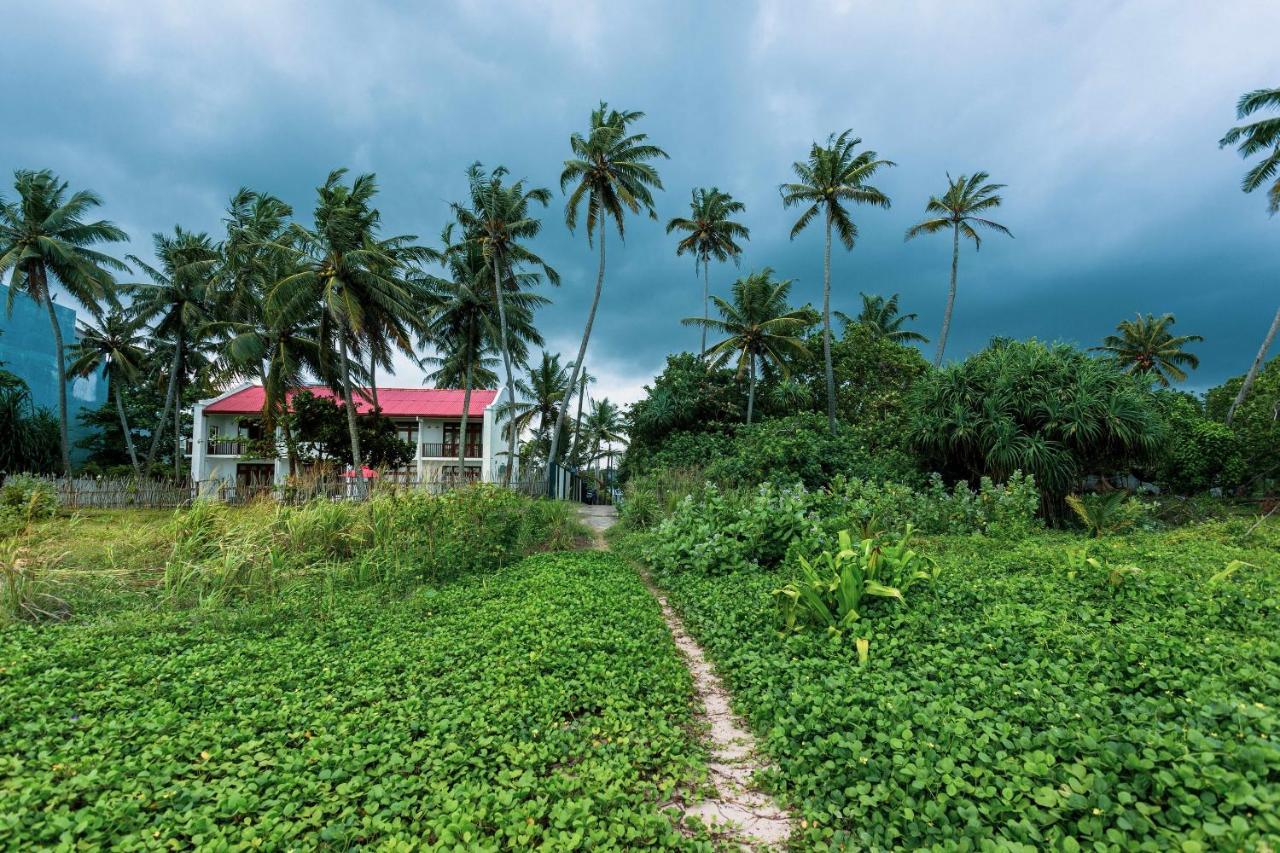 360 Surf Weligama Bay Hotel Bagian luar foto